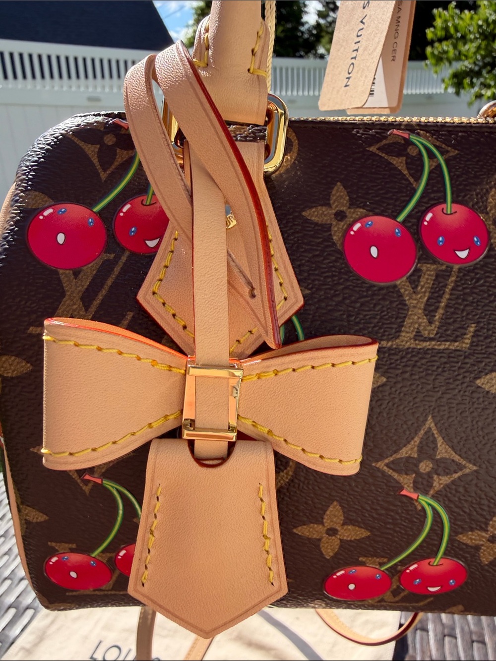 NWT Louis Vuitton Speedy Bandoulière 20 [limited edition] - Picture 14 of 16